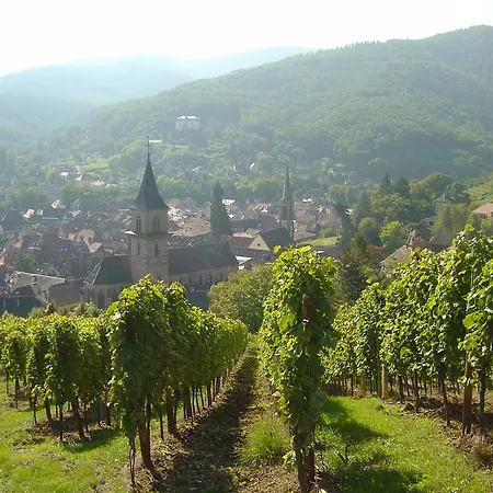 La Tour Enchantee Ribeauvillé